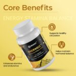 Enerweiz™ – Vital Energy & Wellness Blend (Pack of 1) - Image 2