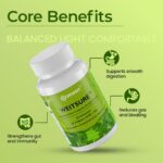 Weitsure™ – Advanced Synbiotic for Gut & Immune Health (Pack of 1) - Image 6