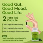 Weitsure™ – Advanced Synbiotic for Gut & Immune Health (Pack of 1) - Image 2